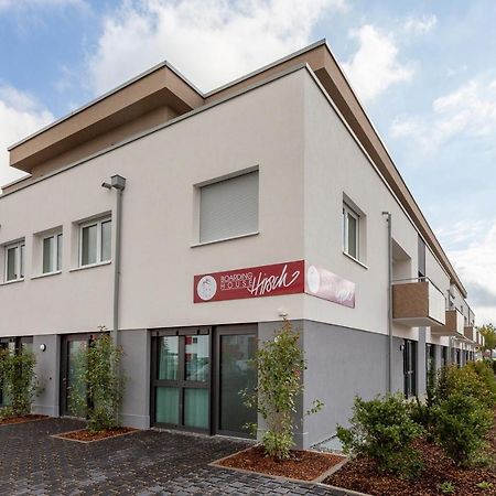 Boardinghouse Hirsch - Apartments In Kork Kehl Dış mekan fotoğraf